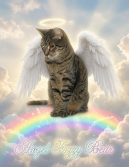 Angel Fozzy Bear of the ups98 family