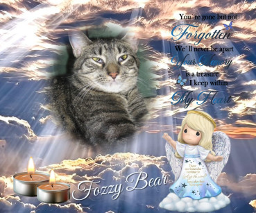 Angel Fozzy Bear of the ups98 family