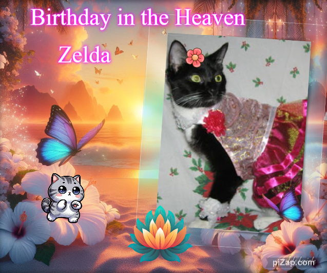 ups98 uploaded   1 year/s ago