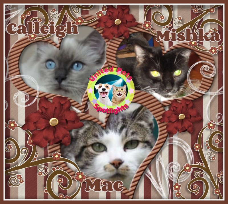 ups98 uploaded   15  day/s  ago