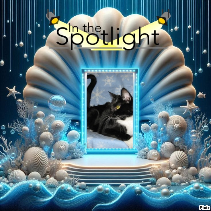 ups98 uploaded   15  day/s  ago