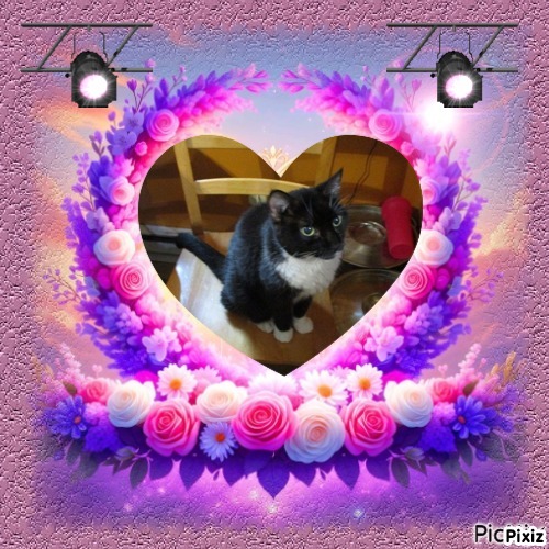 ups98 uploaded   15  day/s  ago