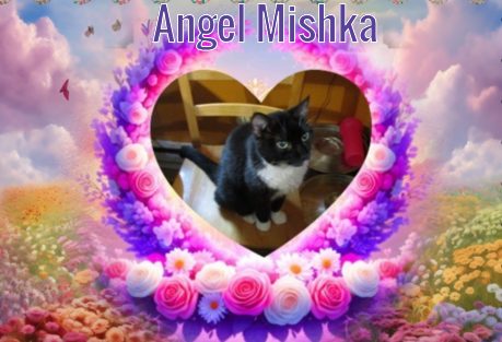 ups98 uploaded   5  day/s  ago