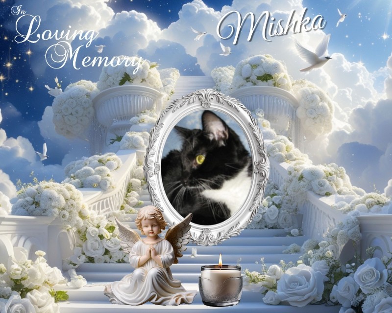 ups98 uploaded   4  day/s  ago