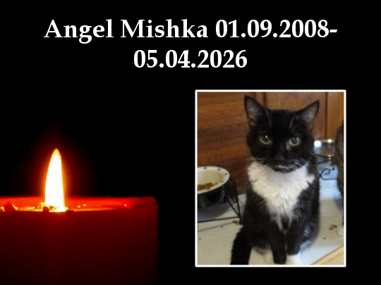 ups98 uploaded   3  day/s  ago