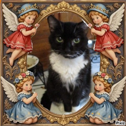 ups98 uploaded   3  day/s  ago