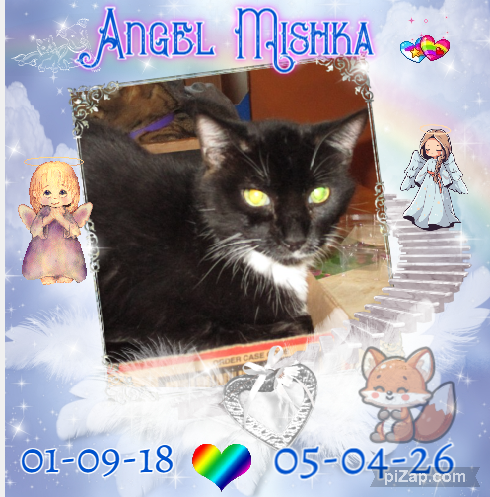 ups98 uploaded   3  day/s  ago