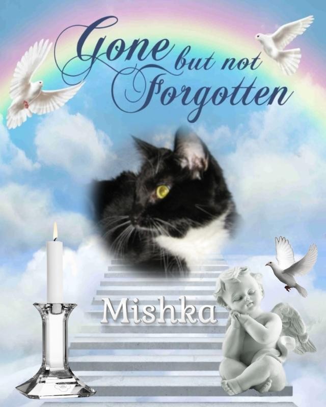 ups98 uploaded   4  day/s  ago