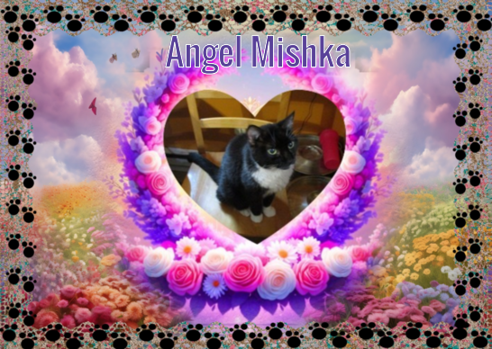 ups98 uploaded   5  day/s  ago