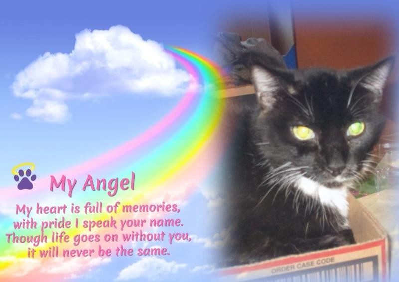 ups98 uploaded   3  day/s  ago