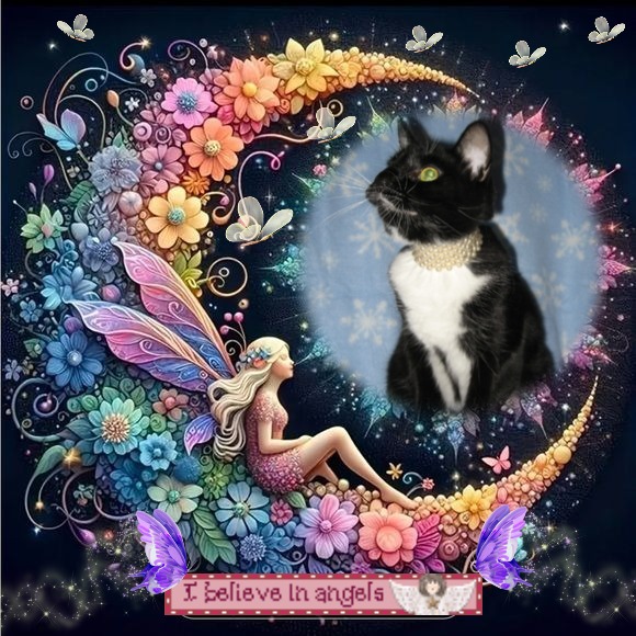 ups98 uploaded   4  day/s  ago