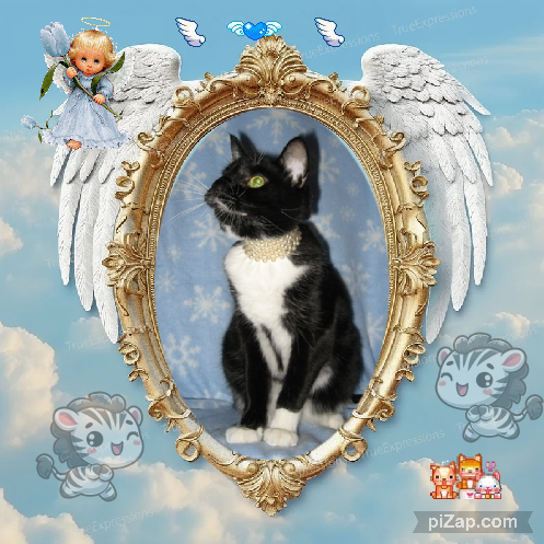 ups98 uploaded   3  day/s  ago