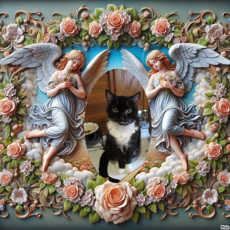 ups98 uploaded   3  day/s  ago