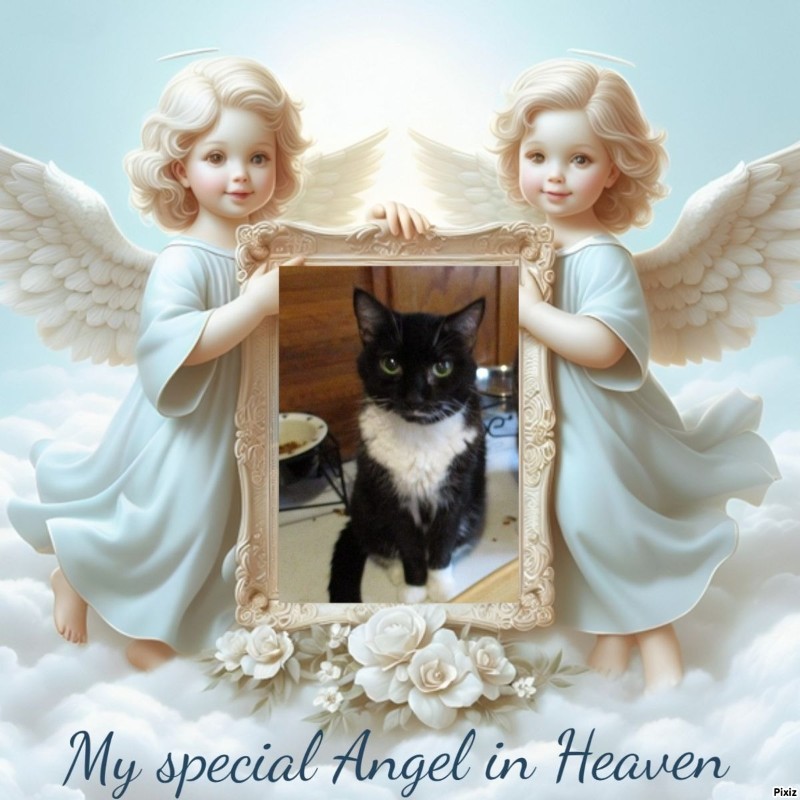 ups98 uploaded   4  day/s  ago