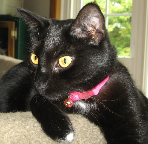 ups98 uploaded   6 year/s ago