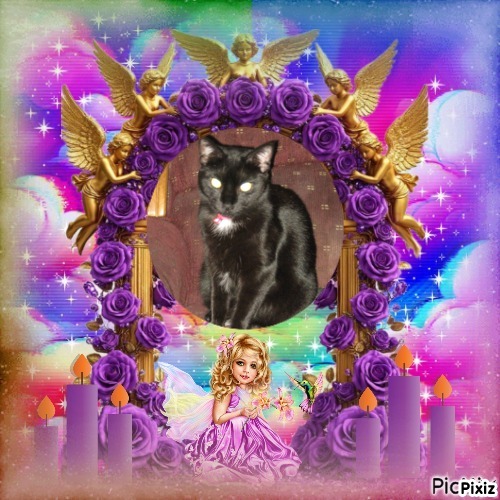 Angel Toes of the ups98 family