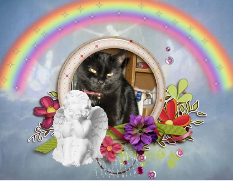 Angel Toes of the ups98 family