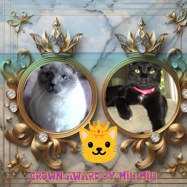 Angel Toes of the ups98 family