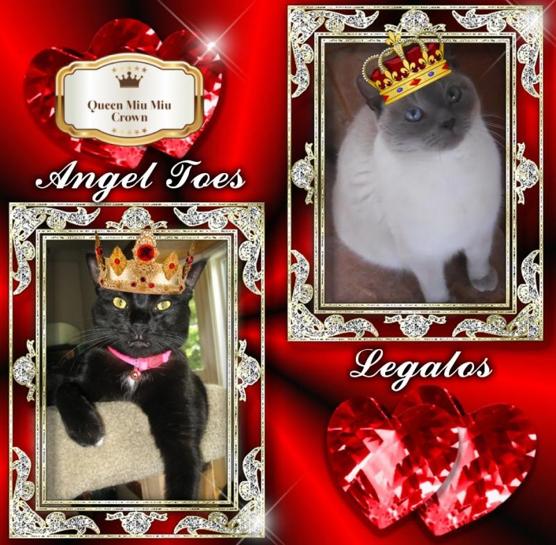 Angel Toes of the ups98 family