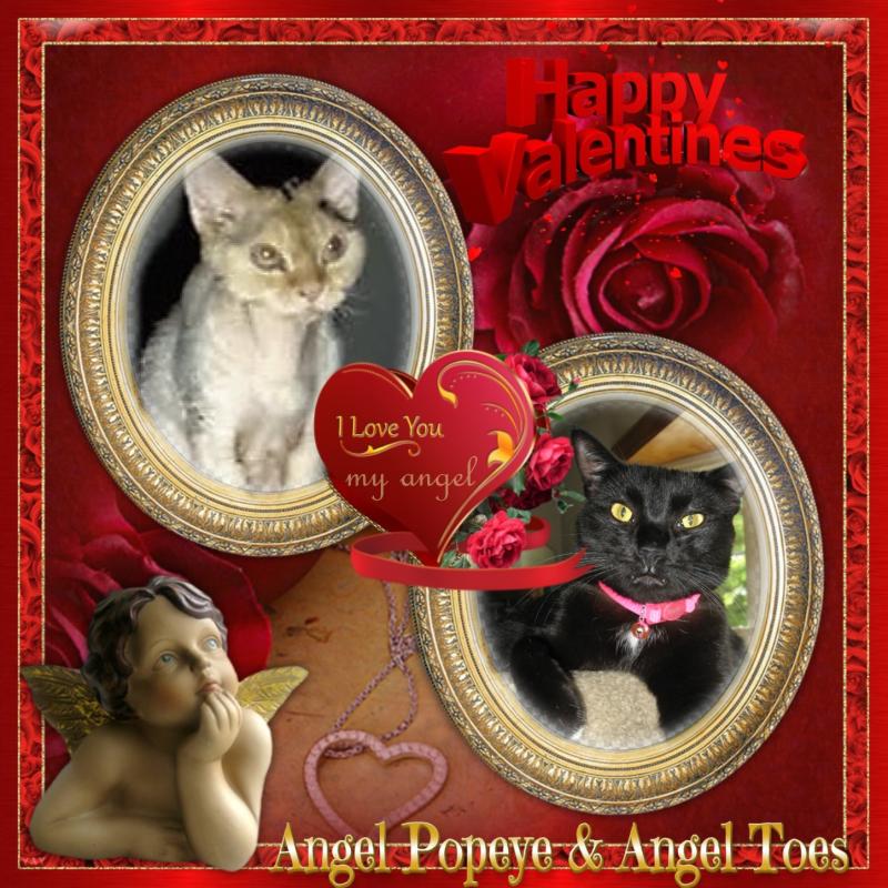 Angel Toes of the ups98 family