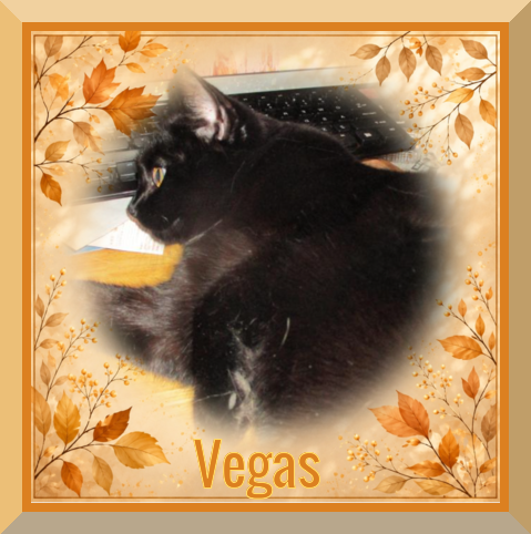 Vegas of the ups98 family