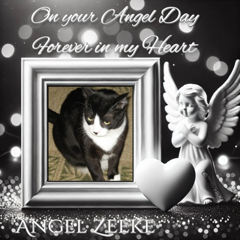 Angel Zeeke of the ups98 family