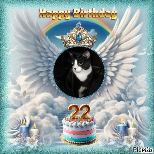 Angel Zeeke of the ups98 family