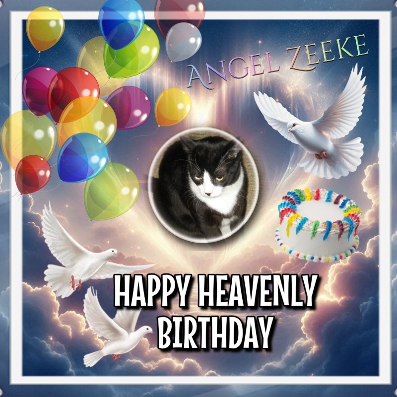 Angel Zeeke of the ups98 family