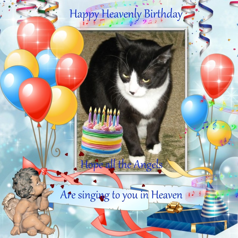 Angel Zeeke of the ups98 family