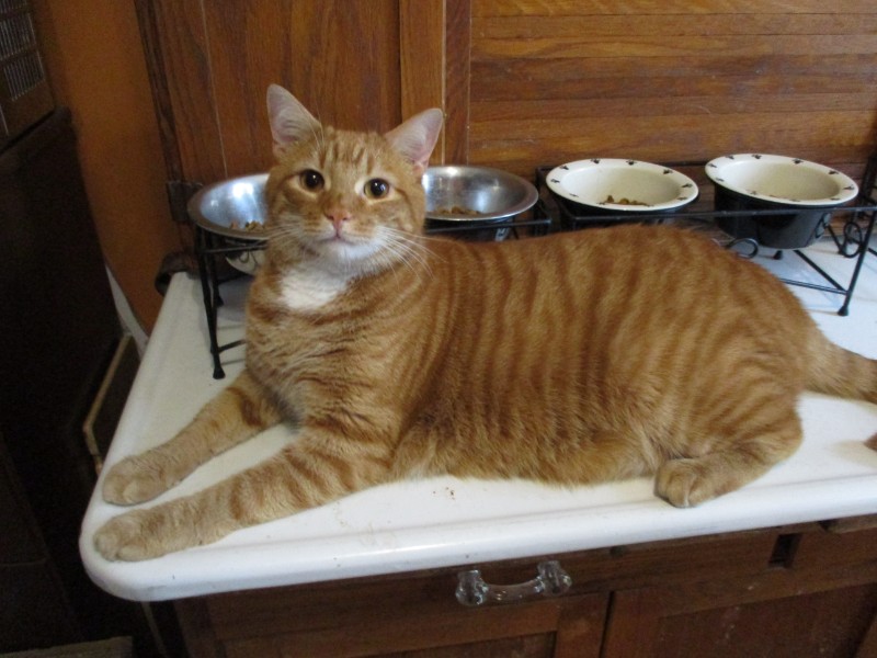 ups98 uploaded   4 year/s ago