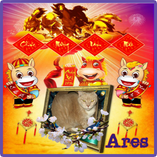 Ares of the ups98 family