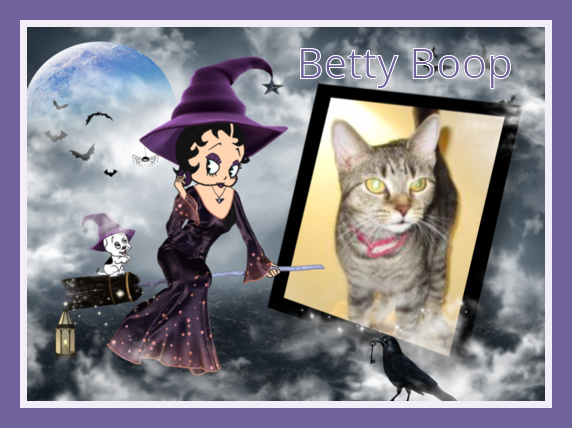 Serenity Betty Boop of the ups98 family
