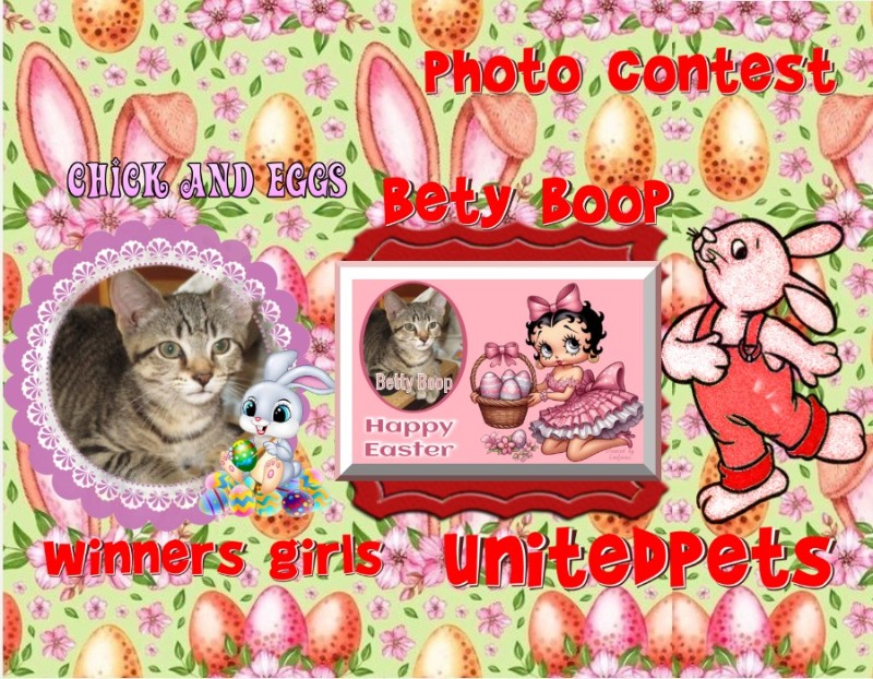 ups98 uploaded   3  day/s  ago