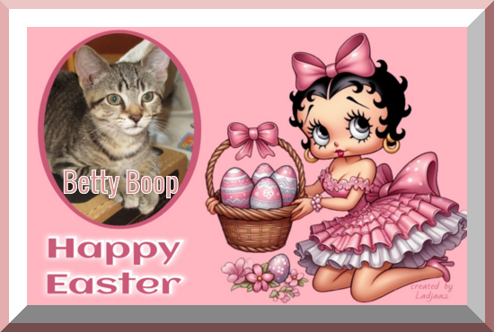 Serenity Betty Boop of the ups98 family