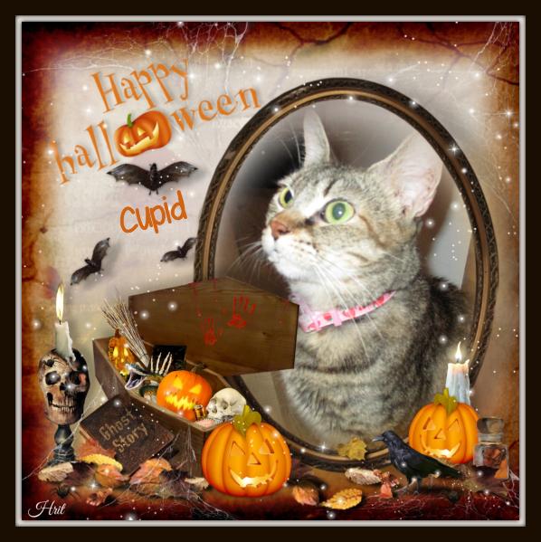 Cupid of the ups98 family