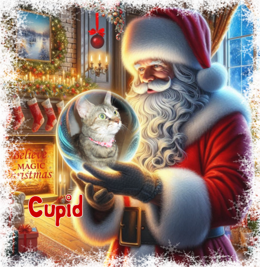 Cupid of the ups98 family