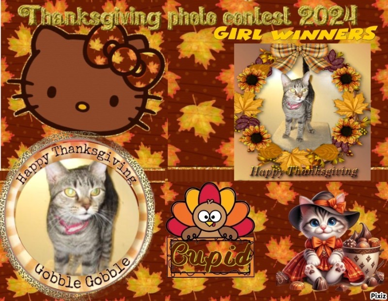 Cupid of the ups98 family