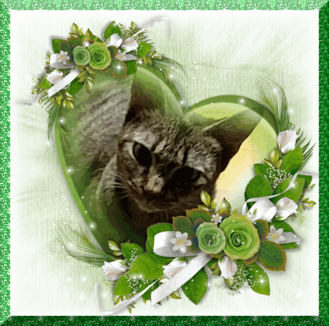 Cupid of the ups98 family