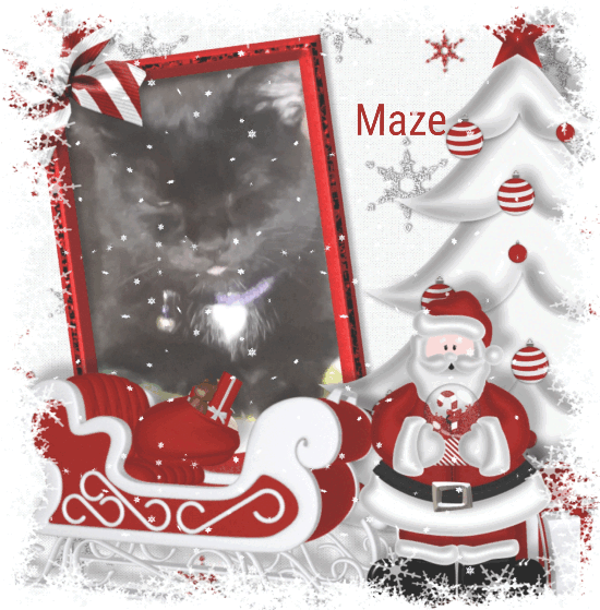 Mazikeen of the ups98 family