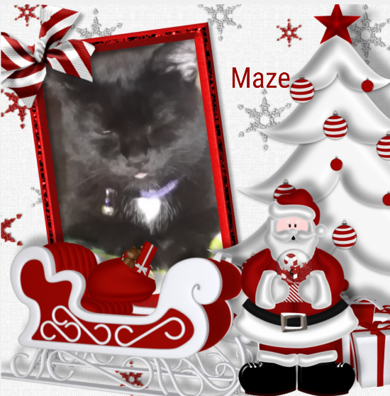 Mazikeen of the ups98 family