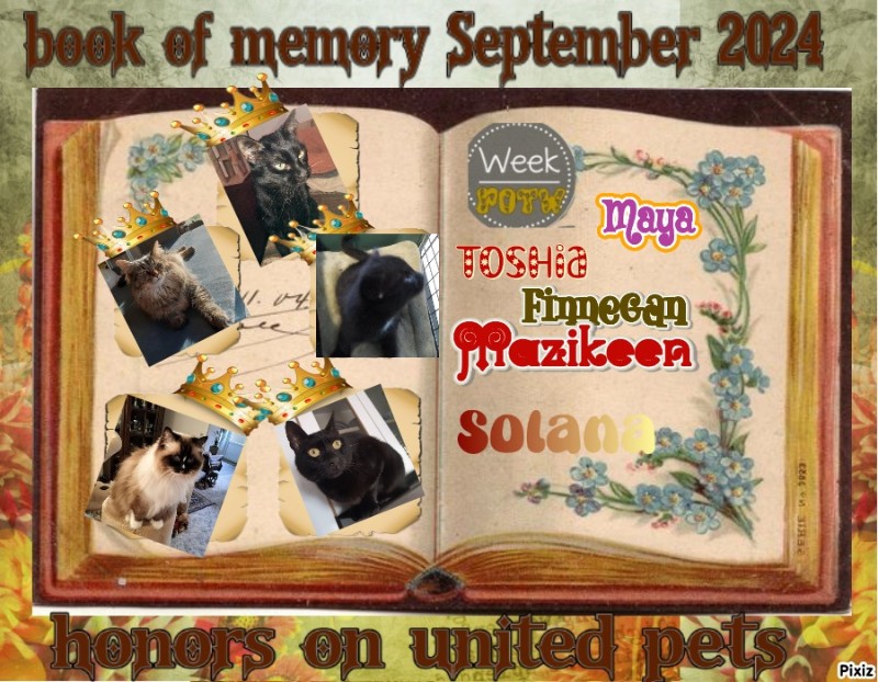 Mazikeen of the ups98 family