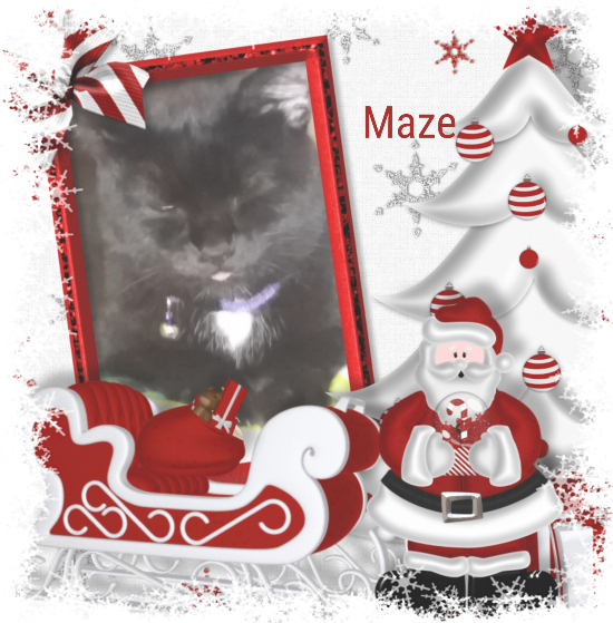 Mazikeen of the ups98 family