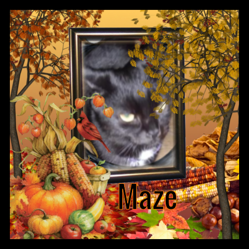 Mazikeen of the ups98 family