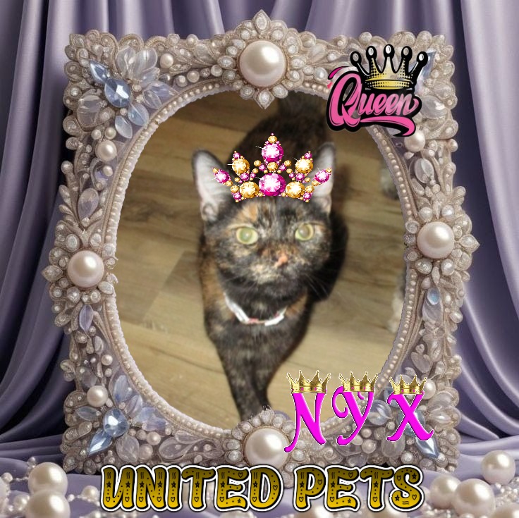 Nyx of the ups98 family