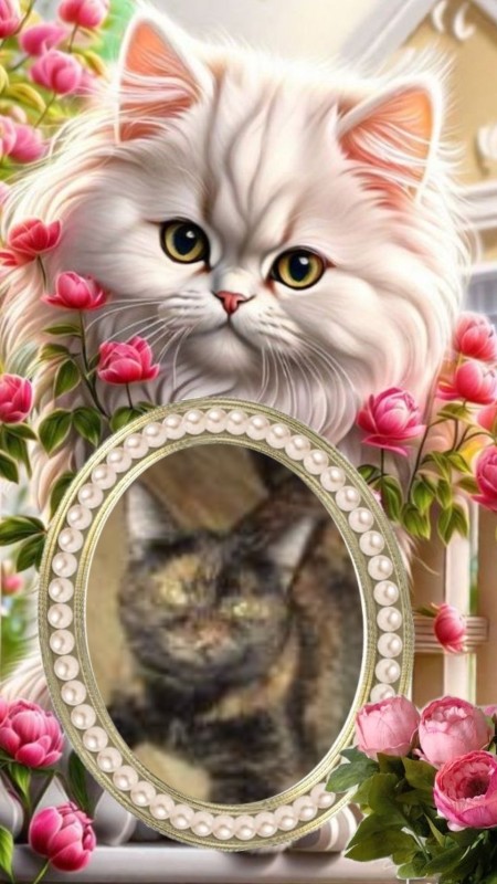 Nyx of the ups98 family