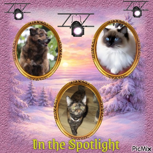 Nyx of the ups98 family