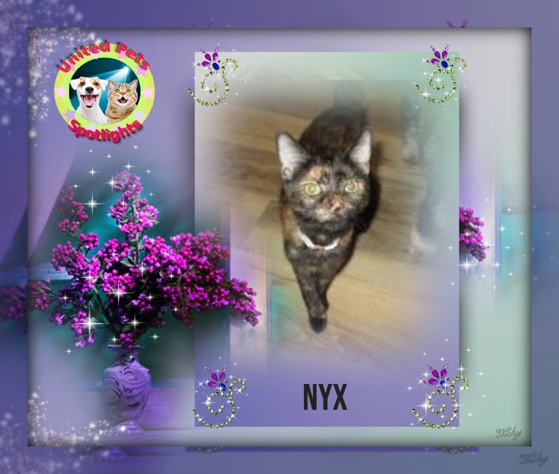 Nyx of the ups98 family