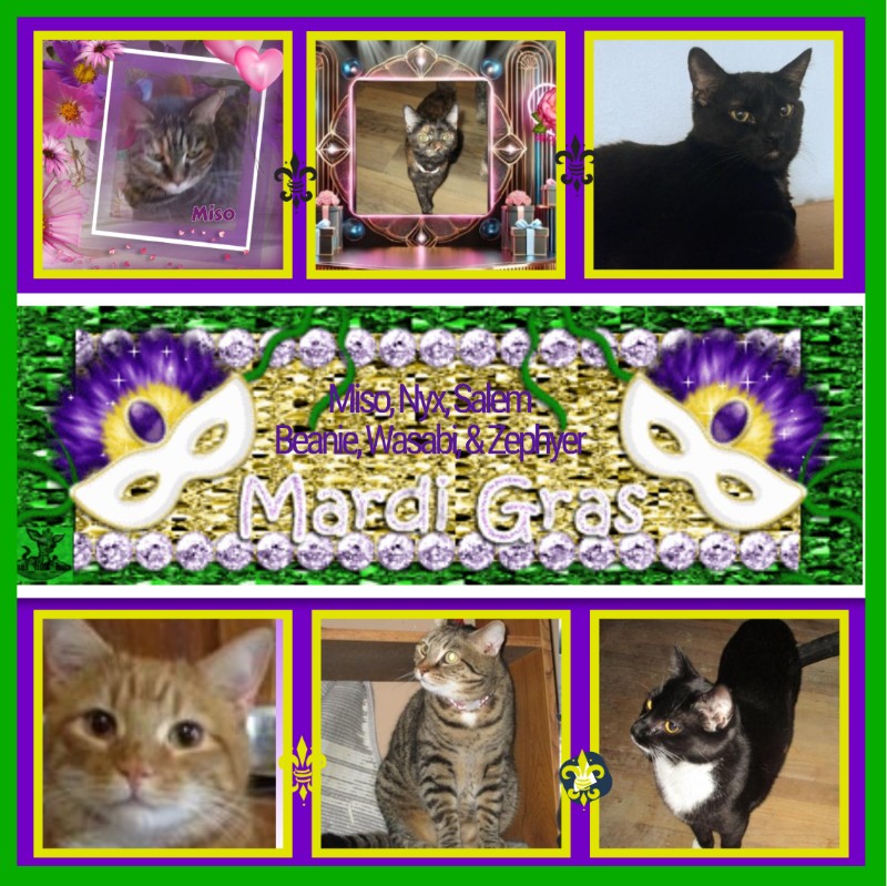 Nyx of the ups98 family