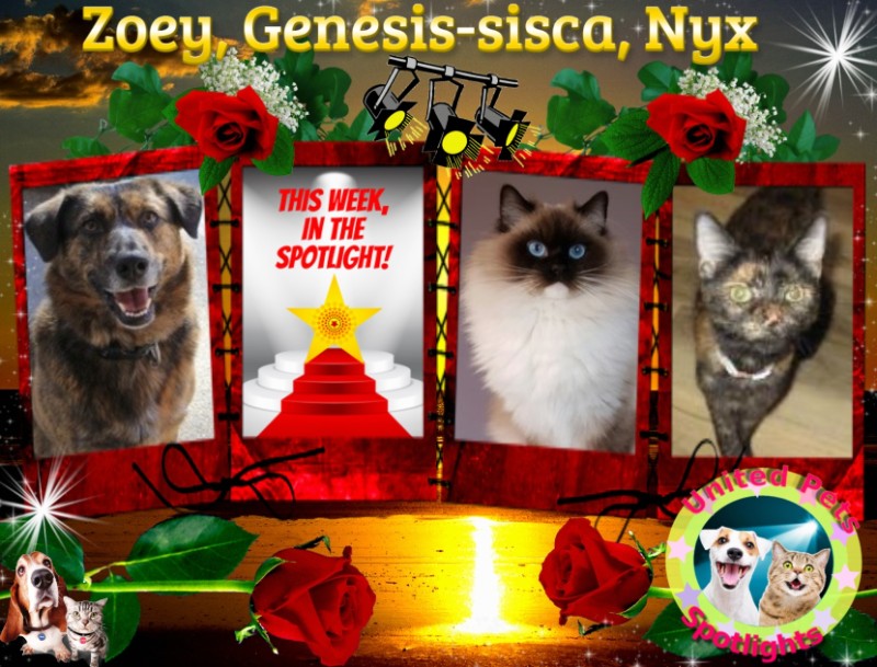 Nyx of the ups98 family