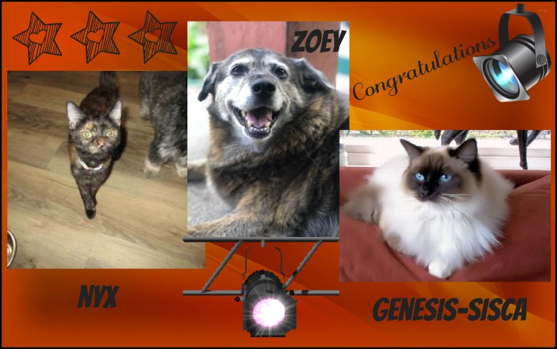 Nyx of the ups98 family